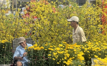 Chiều 30 Tết, người bán hoa cảnh đồng loạt "xả hàng" về đón giao thừa