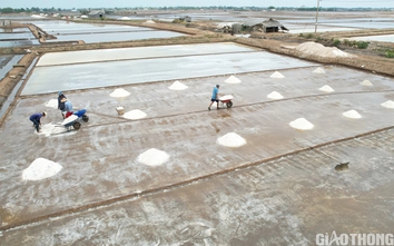 Diêm dân Bạc Liêu khấp khởi hy vọng nghề làm muối phát triển từ 100 tỷ đồng hỗ trợ