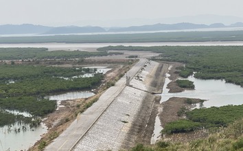 Quảng Ninh: Lạ lùng tuyến đê triệu đô xây xong rồi bỏ không