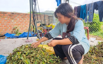 Chồng mất vì tai nạn, vợ bệnh tật nuôi con thiểu năng