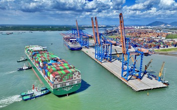 Việt Nam lọt top 3 ASEAN về tuyến dịch vụ vận chuyển container quốc tế