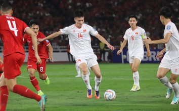 Dự đoán kết quả trận Việt Nam vs Indonesia: Gió đổi chiều ở Mỹ Đình?