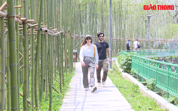 Du khách thích thú ngắm rừng trúc xanh giữa lòng Hà Nội