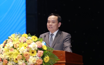 Phó thủ tướng Trần Lưu Quang: Bình Định có tiềm năng để thu hút đầu tư