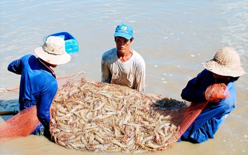 Ba điểm ấn tượng của kinh tế Đồng bằng sông Cửu Long