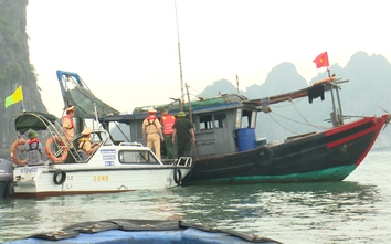 Quảng Ninh: Quyết liệt ngăn chặn các tàu cá "3 không" trên vịnh Hạ Long
