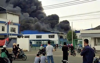 Dập tắt đám cháy lớn tại công ty sản xuất giày dép ở Đồng Nai