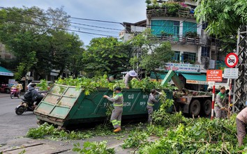 Bộ Công an yêu cầu Quảng Ngãi cung cấp tài liệu các dự án trồng, chăm sóc cây xanh