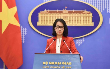 Mỹ điều trần xem xét công nhận quy chế thị trường Việt Nam, Bộ Ngoại giao nói gì?