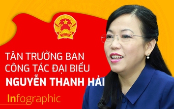 Tiểu sử tân Trưởng ban Công tác đại biểu Nguyễn Thanh Hải