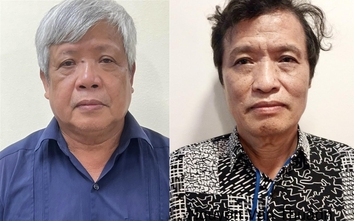 Vì sao cựu Thứ trưởng Bộ Tài nguyên và Môi trường Nguyễn Linh Ngọc bị khởi tố?