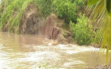 Sông Tiền ở Đồng Tháp bị sạt lở, gây thiệt hại hơn 1 tỷ đồng