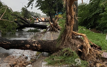 Bà Rịa - Vũng Tàu hỗ trợ dân sửa nhà tốc mái, cây gãy đổ do lốc xoáy