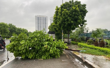 Dự báo mưa lớn các quận nội thành Hà Nội