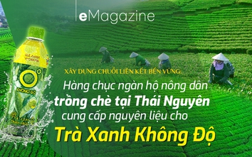 Liên kết bền vững từ hộ nông dân đến nhà sản xuất