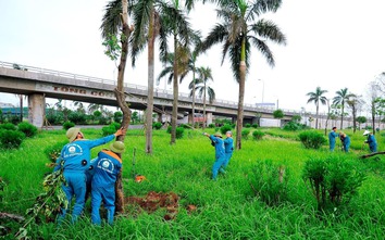 Hải Dương: Chống dựng, phun dinh dưỡng để phục hồi cây xanh gãy đổ sau bão