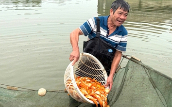 Làng sản xuất "phương tiện" cho ông Công, ông Táo hối hả thu hoạch