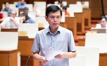 Tạo điều kiện thuận lợi cho các thành phần kinh tế đầu tư, khai thác cảng hàng không