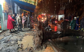 TP.HCM: Bà đón cháu đi học về, bị cây đổ đè trọng thương