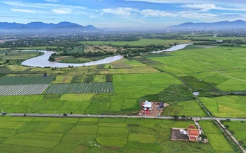 Đà Nẵng lập 2 tổ công tác GPMB dự án đường sắt tốc độ cao