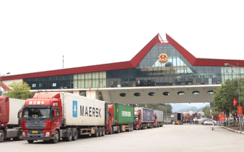 Đề xuất địa phương cấp phép vận tải quốc tế, thực hiện hoàn toàn trực tuyến