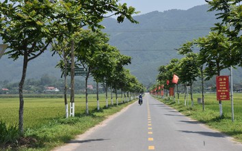 Nông thôn mới: Đề xuất 80% tuyến đường đạt chuẩn đô thị
