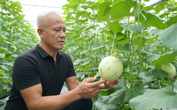 Hưng Yên có hơn 100 sản phẩm đạt OCOP 4 sao