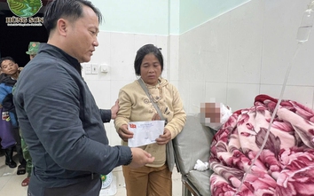Cứu người đàn ông ở Đà Nẵng bị gấu tấn công trọng thương