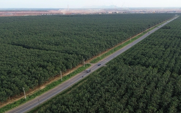 Hai dự án công nghệ cận kề sân bay của Đồng Nai đang được tăng tốc triển khai