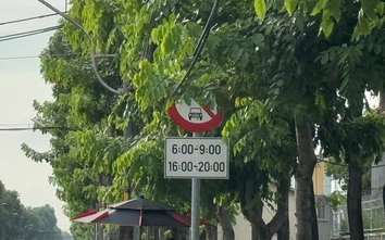 TP.HCM rà soát, khắc phục tình trạng biển báo giao thông bị che khuất