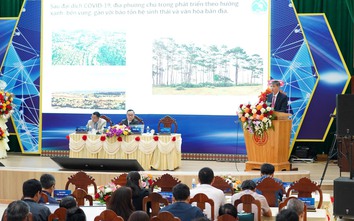 Quảng Ngãi ứng dụng các giải pháp chuyển đổi số để phát triển du lịch