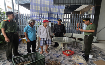 Khởi tố bắt tạm giam 2 thuyền trưởng vì đưa người khác xuất cảnh trái phép