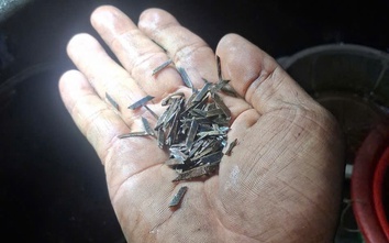 "Đinh tặc" tái diễn, CSGT TP.HCM kêu gọi người dân nâng cao cảnh giác