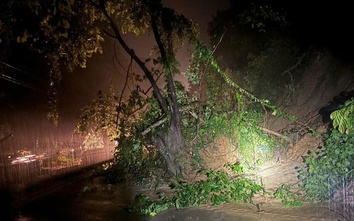 Kịp thời giải phóng sạt lở đường đèo Ngoạn Mục, thông xe quốc lộ 27