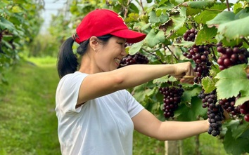 Hà Nội: Xã ven đô phát triển nông nghiệp sinh thái gắn với du lịch trải nghiệm