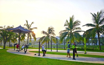 Hà Nội trước bài toán “khát xanh”, đâu là giải pháp?
