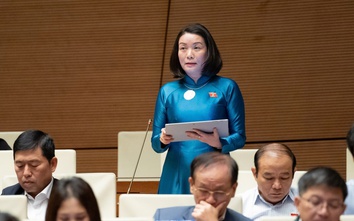 ĐBQH đề xuất xử lý hình sự hành vi lựa chọn giới tính thai nhi gây hậu quả nghiêm trọng