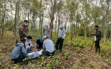 Phú Thọ: Quy định mới về bồi thường GPMB có lợi cho người dân