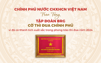 Tập đoàn BRG được trao tặng Cờ Thi đua Chính phủ