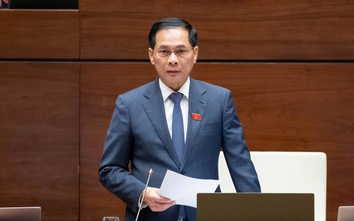 Phó Thủ tướng Bùi Thanh Sơn làm rõ sự cần thiết định danh người bán hàng trên mạng