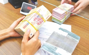 Đề xuất giao Bảo hiểm tiền gửi tái cấu trúc quỹ tín dụng nhân dân yếu kém