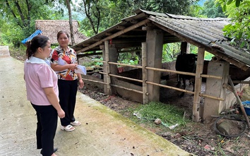 Phú Thọ: Phát triển kinh tế gắn liền với chăm lo an sinh xã hội cho người dân