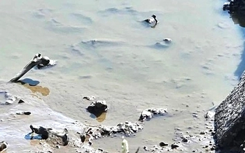 Phát hiện bộ xương người trong ao cá ở Hải Phòng