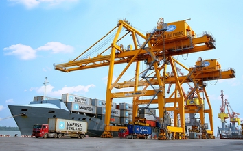 Cảng Chùa Vẽ trước áp lực di dời: Vì sao chỉ còn một phương án khả thi?