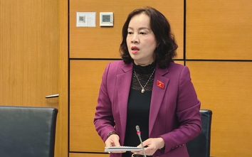 ĐBQH: Cần ưu tiên đặc biệt cho cán bộ ngoại giao tại địa bàn có xung đột