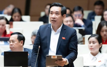 ĐBQH: Một mình Bộ Giáo dục - Đào tạo không thể ngăn chặn được bạo lực học đường