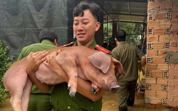 Mực nước sông Đồng Nai vượt báo động 2, nhiều vùng trũng nguy cơ ngập