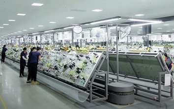 Nghệ An phát triển cụm công nghiệp thu hút đầu tư