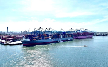 Cảng Quốc tế Tân Cảng - Cái Mép lần thứ 3 vượt mốc 2 triệu Teu hàng hóa thông qua