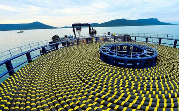 Vượt sóng thắp sáng đảo xa